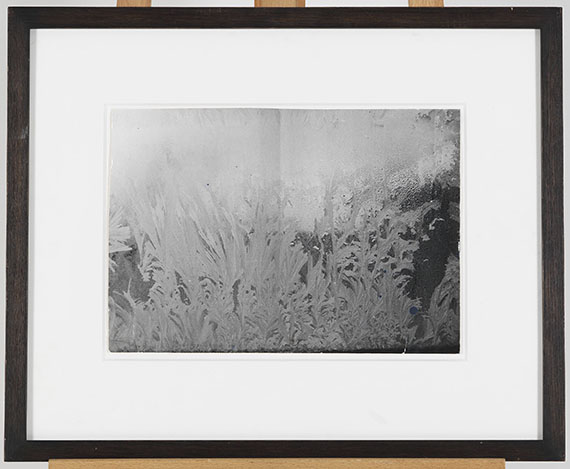 Anselm Kiefer - Ohne Titel - Frame image