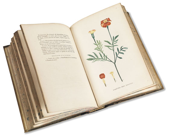 J. H. Jaume Saint-Hilaire - Plantes de la France. 1808-09. 4 Bde.