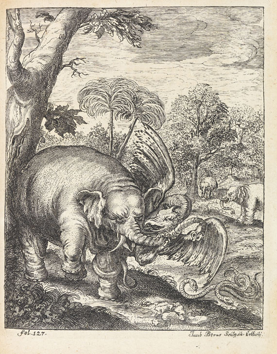 Petri von Hartenfels - Elephantographia curiosa. 1715.