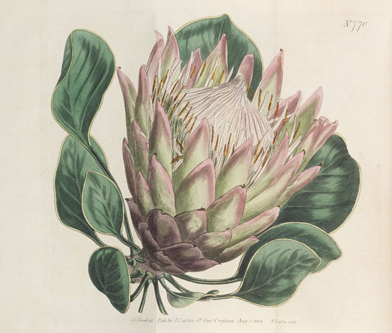 William Curtis - The Botanical Magazine. 46 Bde. 1787-1842.