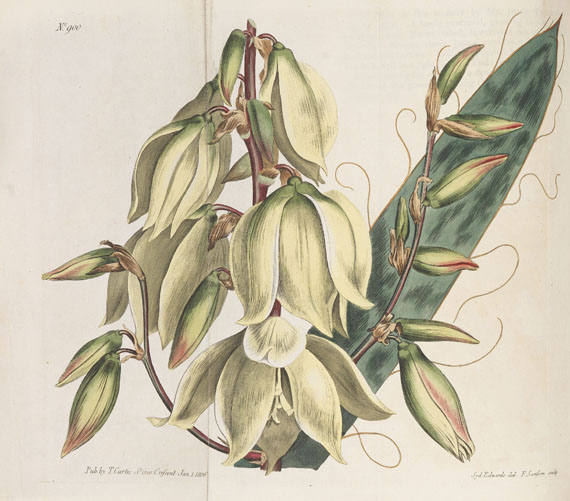 William Curtis - The Botanical Magazine. 46 Bde. 1787-1842. - 