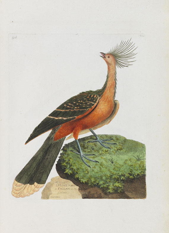 Francois Nicolas Martinet - Oiseaux. Um 1780-90. - 