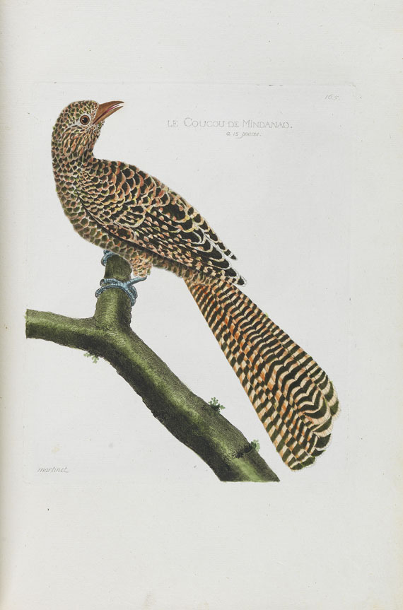 Francois Nicolas Martinet - Oiseaux. Um 1780-90. - 