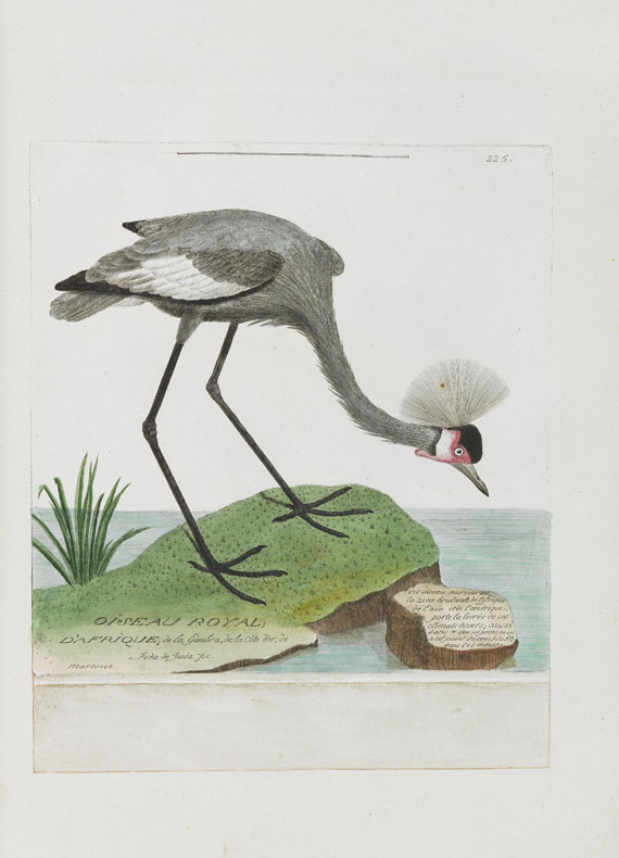 Francois Nicolas Martinet - Oiseaux. Um 1780-90.