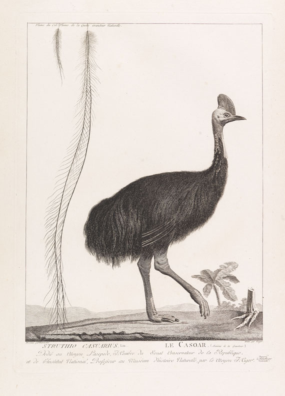 B. G. E. de Lacépède - La ménagerie du Museum National d`Histoire Naturelle. 1800-1801. - 