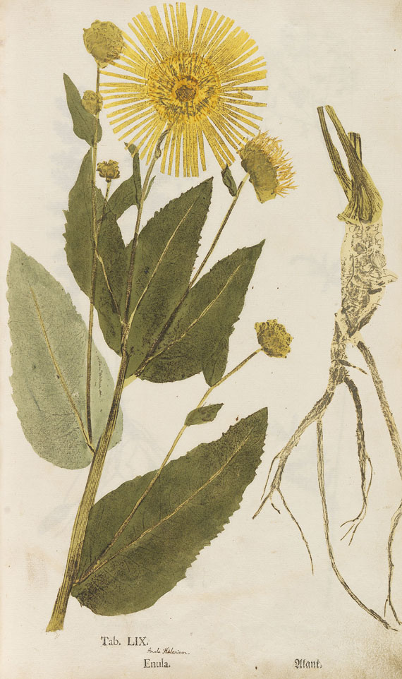Christian Gottlieb Ludwig - Ectypa vegetabilium. 1760. - 