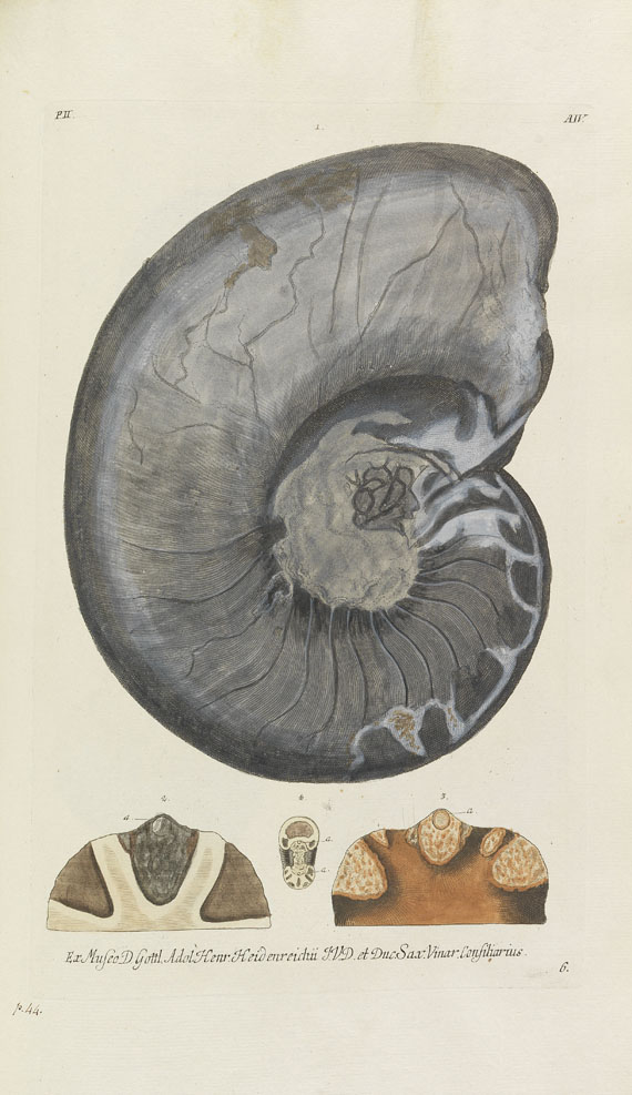 Georg W. Knorr - Recueil des monumens des catastrophes. 4 Bde. 1768-1778 - 