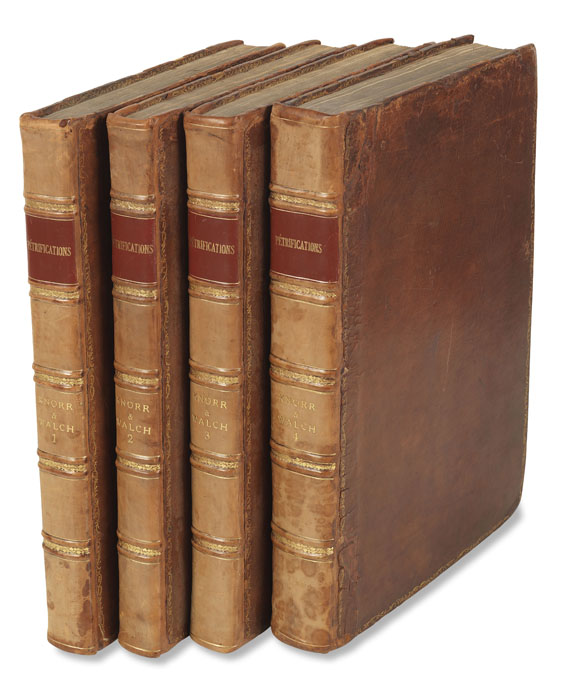 Georg W. Knorr - Recueil des monumens des catastrophes. 4 Bde. 1768-1778 - 