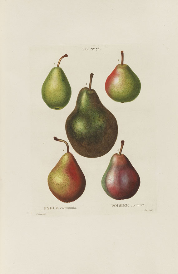 Henri Louis Duhamel du Monceau - Trait des arbres et arbustes. 7 Bde. 1800-1819. - 