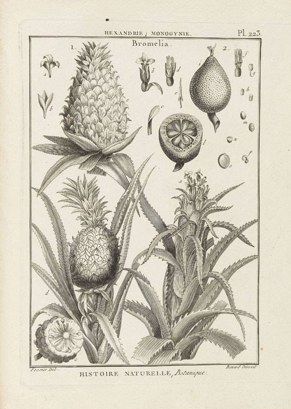 J. B. A. P. Monnet de Lamarck - Tableau Encyclopedique et methodique. 10 Bde. 1791-1823. - 