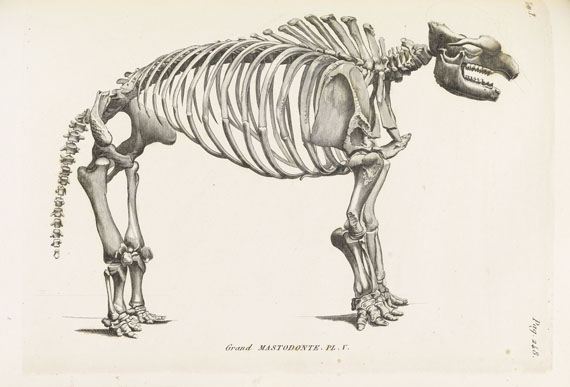 Georges Cuvier - Ossemens fossiles. 7 Bde. 1825