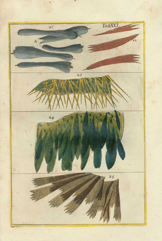 Filippo Bonanni - Rerum naturalium historia. 1773