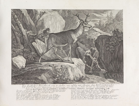 Johann Elias Ridinger - Betrachtung der wilden Thiere. 1736