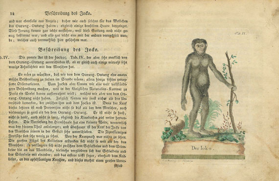Johann Christoph Heppe - Die drey Reiche der Natur. 1776