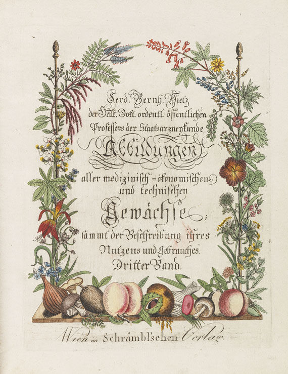 Ferdinand Bernhard Vietz - Icones plantarum. 3 Bde. 1800-1806