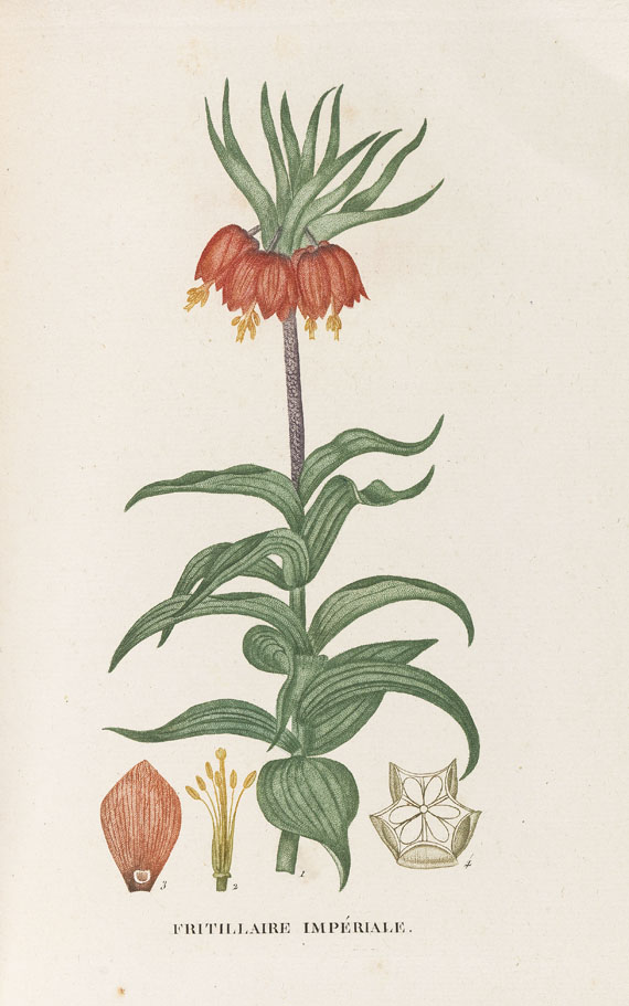 J. H. Jaume Saint-Hilaire - Plantes de la France. 9 Bde. 1808-22