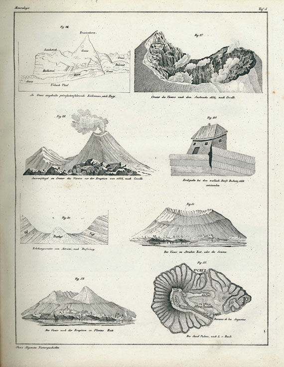 Lorenz Oken - Abbildungen Naturgeschichte. 1843