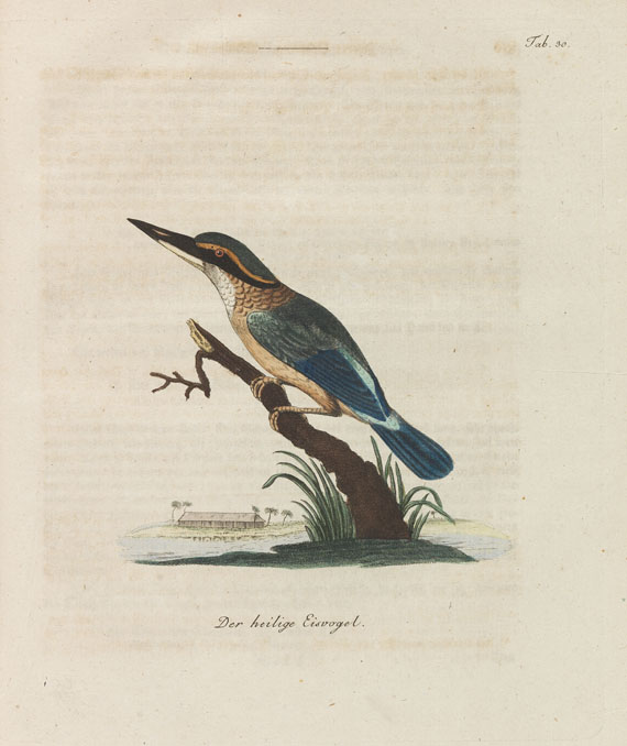 John L. Latham - Übersicht der Vögel. 6 Bde. 1792-98