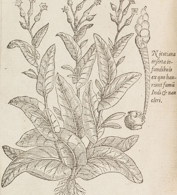 Matthias de Lobel - Plantarum seu stirpium historia. 2 Tle. in 1 Bde. 1576 - 