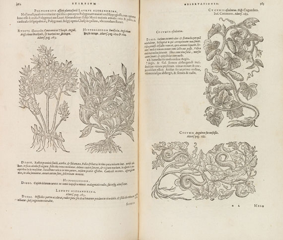Matthias de Lobel - Plantarum seu stirpium historia. 2 Tle. in 1 Bde. 1576
