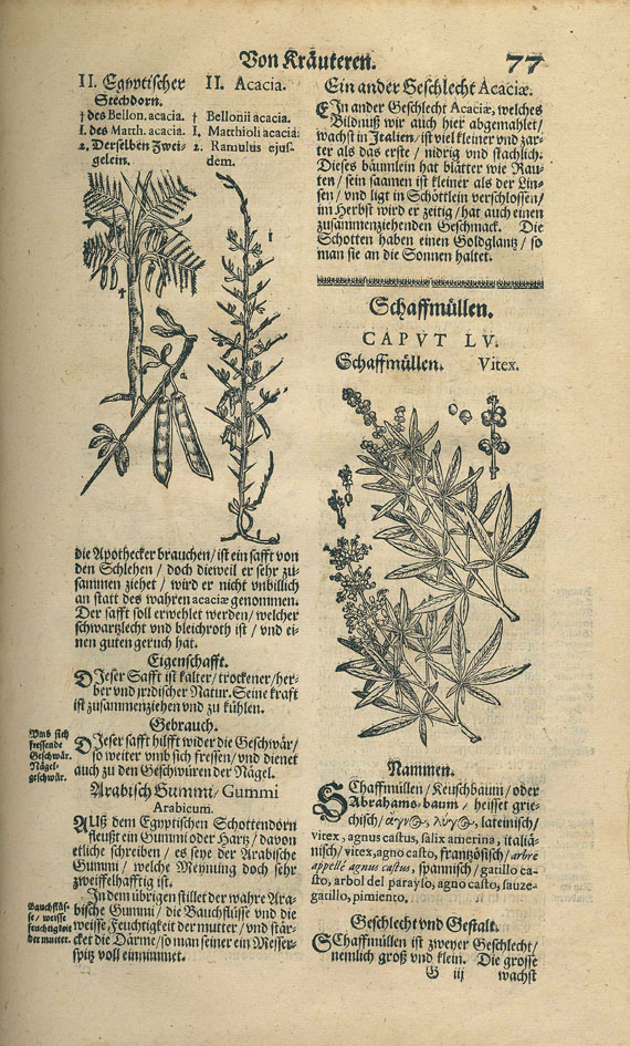 Pietro Andreas Matthioli - Neu vollkommenes Kräuter-Buch. 1678