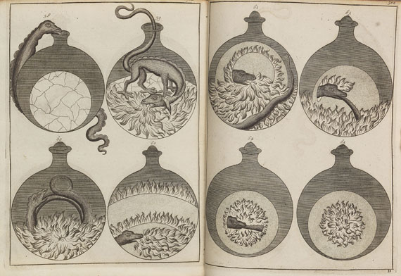 Johann Conrad Barchusen - Elementa chemiae. - 