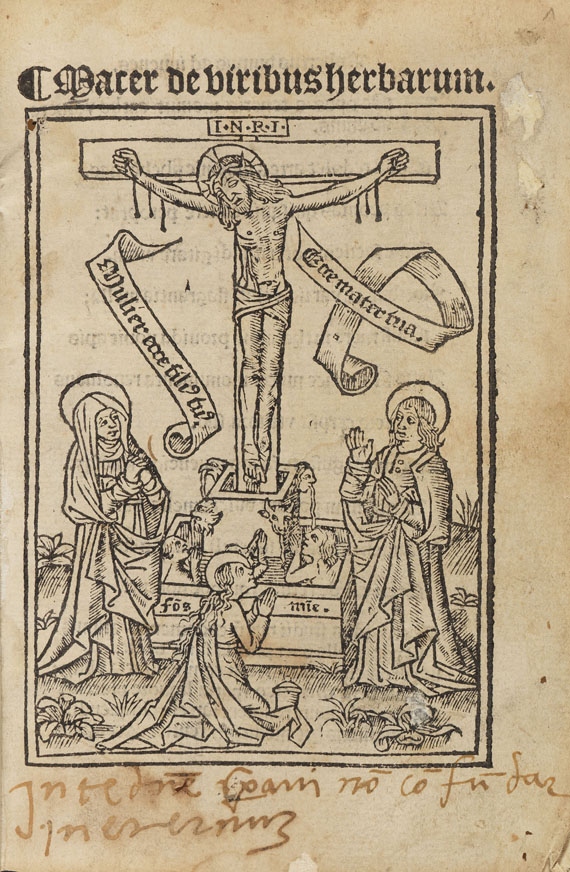 Floridus Macer - (d. i. Odo von Meung), De viribus herbarum. - 