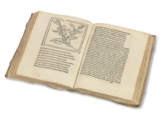 Floridus Macer - (d. i. Odo von Meung), De viribus herbarum. - 