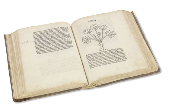   - Tractatus de virtutibus herbarum. - 