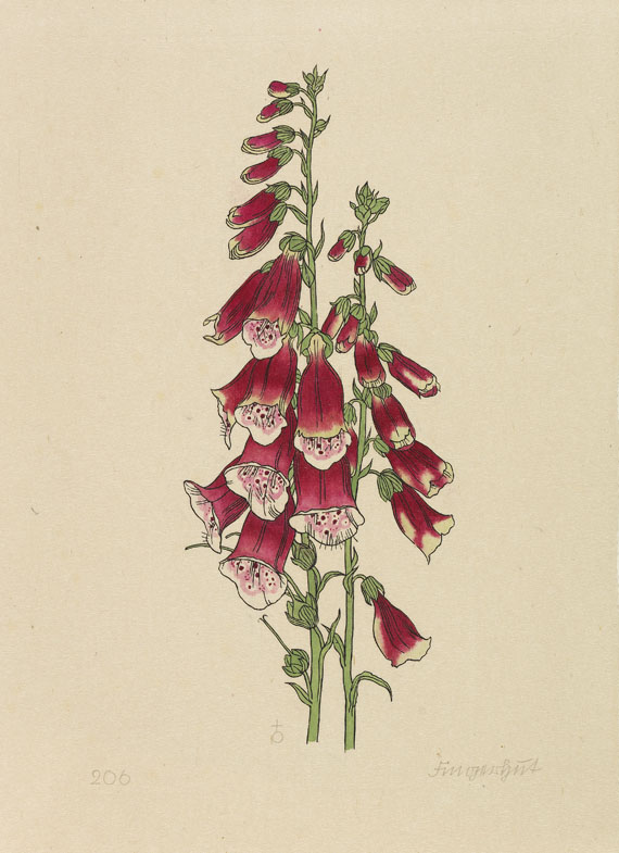 Rudolf Koch - Das Blumenbuch. 12 Mappen. 1923-30. Ex. der Luxusausgabe. - 