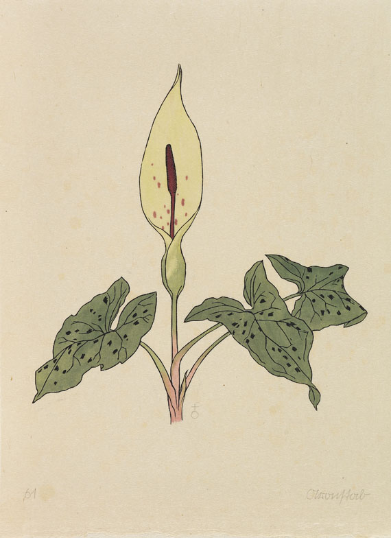 Rudolf Koch - Das Blumenbuch. 12 Mappen. 1923-30. Ex. der Luxusausgabe. - 