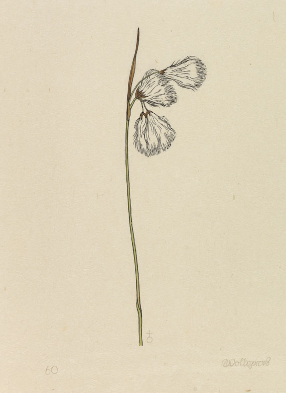 Rudolf Koch - Das Blumenbuch. 12 Mappen. 1923-30. Ex. der Luxusausgabe. - 