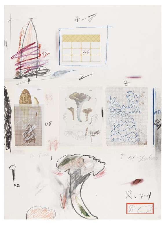 Cy Twombly - Natural History Part I - Mushrooms (No. VI)