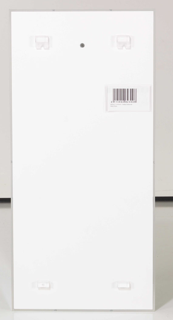 Markus Schinwald - Beine - Back side