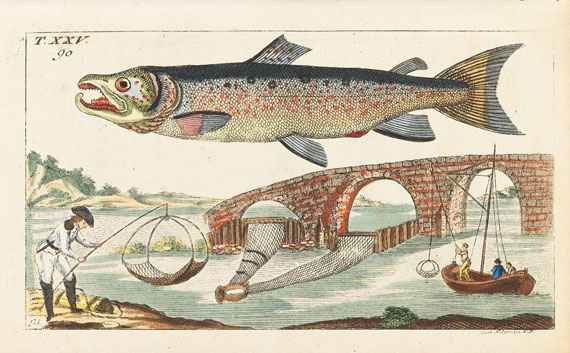 Gottlieb Tobias Wilhelm - Naturgeschichte, 27 Bde. - 