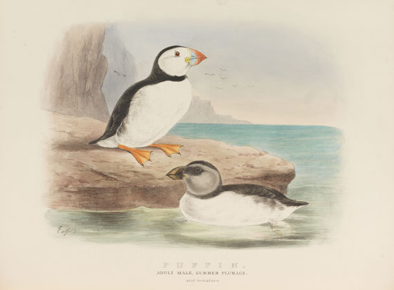 Edwin Carton Booth - Rough notes on the birds in the British Islands. 3 Bde. - 