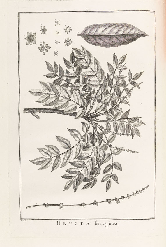 Charles Louis L