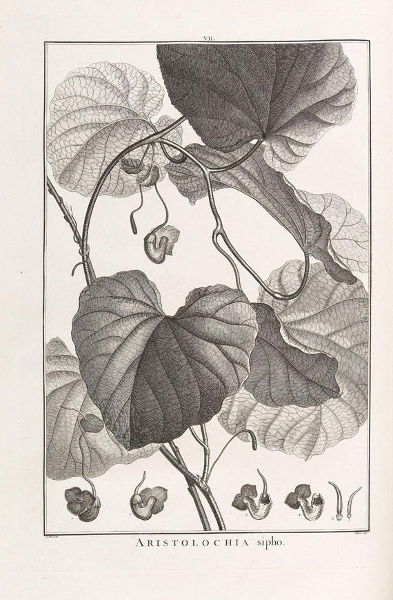 Charles Louis L