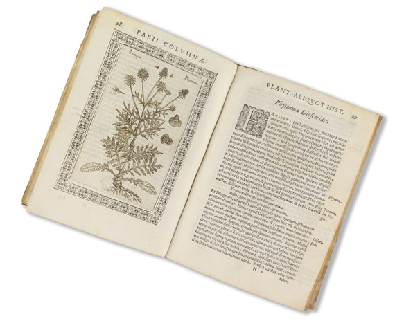 Fabius Columna - Phytobasanos sive Plantarum. 1592. - 