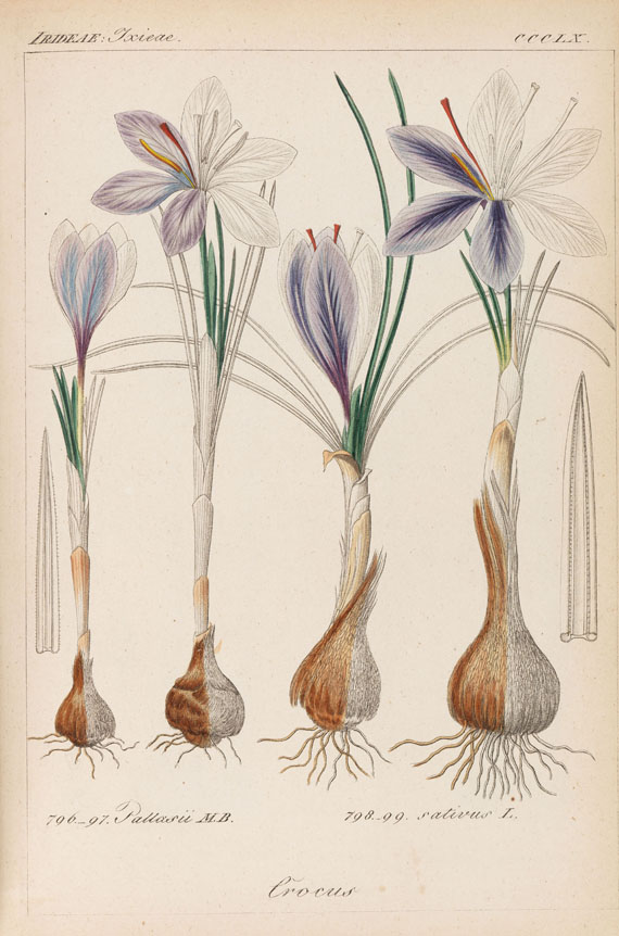 Heinrich Gottlieb Ludwig Reichenbach - Deutschlands Flora. 11 Bde. 1839-1867