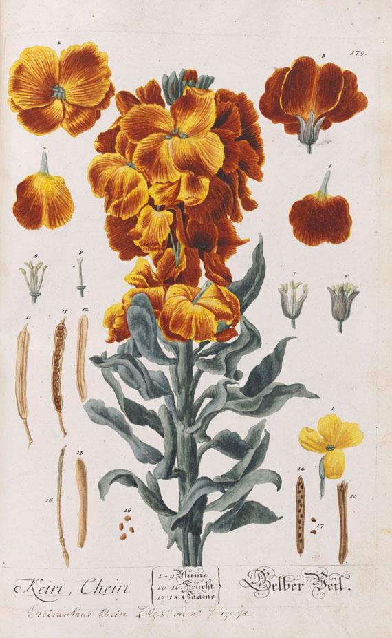 Elisabeth Blackwell - Kräuter-Buch. 6 Bde. 1750 - 