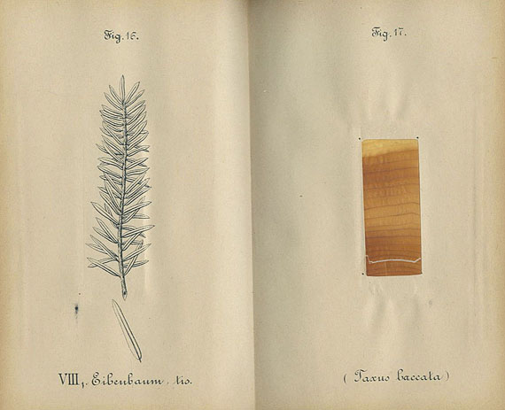   - Hey, Reb., Sylvan Musings. 1849 - Sykyta, Das Holz. 1882 - 