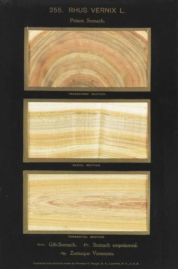 Romeyn Beck Hough - The American Woods. 3 Textbde. und 14 Kassetten mit Tafeln. Zus. 17 Bde. - 
