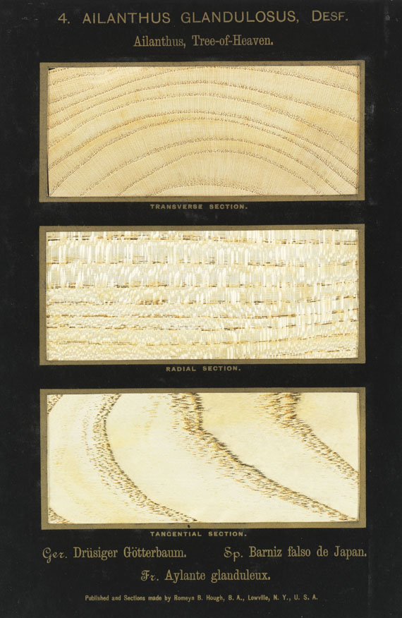 Romeyn Beck Hough - The American Woods. 3 Textbde. und 14 Kassetten mit Tafeln. Zus. 17 Bde. - 