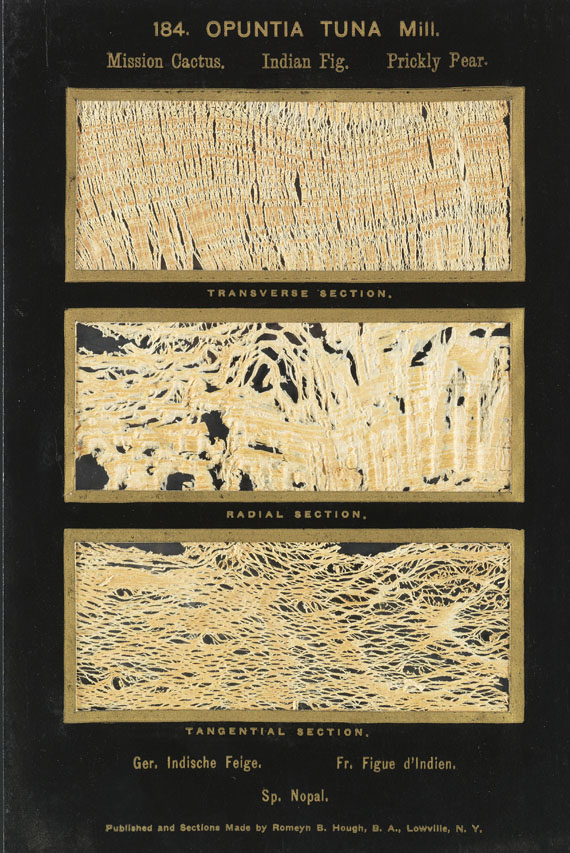 Romeyn Beck Hough - The American Woods. 3 Textbde. und 14 Kassetten mit Tafeln. Zus. 17 Bde. - 