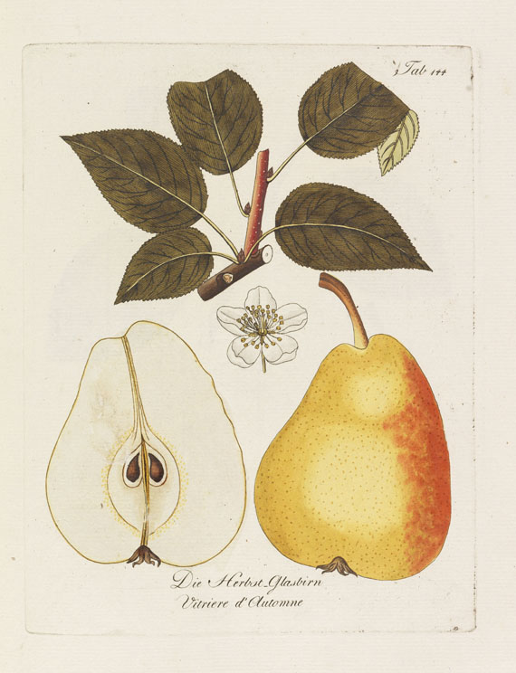 Johann Kraft - Abhandlung von den Obstbäumen. 1792