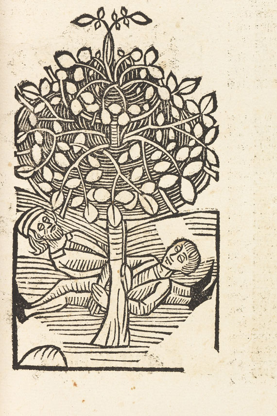   - Hortus Sanitatis 1517 - 