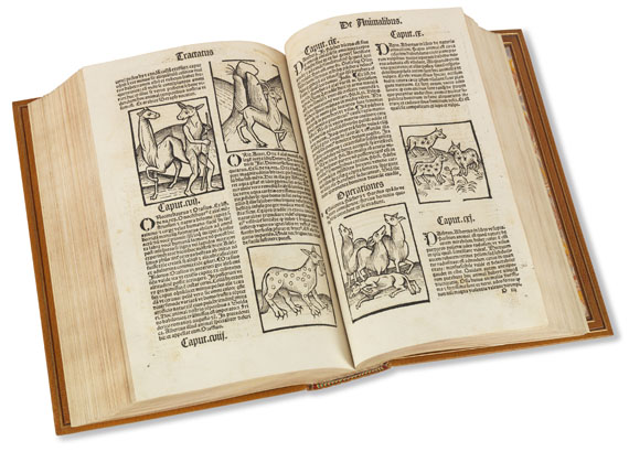   - Hortus Sanitatis 1517 - 