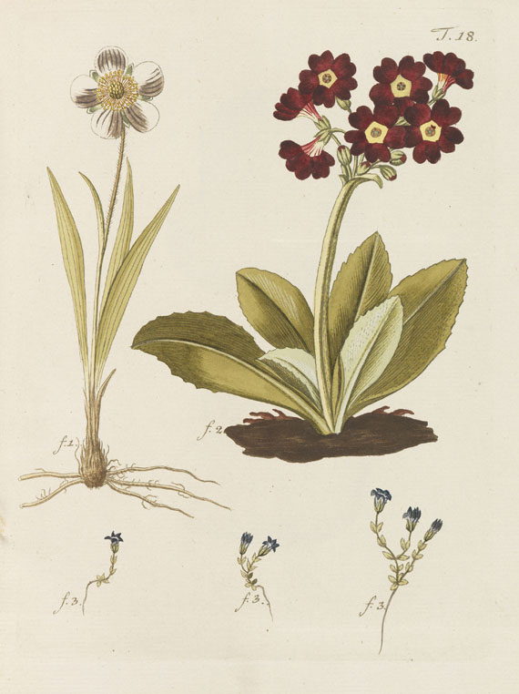 Nicolaus Joseph Jacquin - Miscellanea Austriaca ad botanicam - 