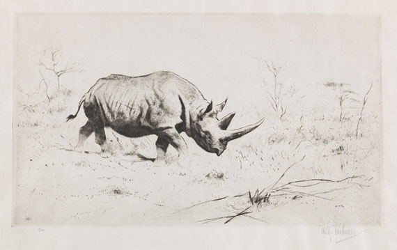 Wilhelm Kuhnert - 3 Bll.: Ruhende Löwen. Afrikanisches Nashorn. Elch - 